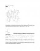 Bioquimica biomoleculas