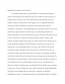 Importancia del comercio exterior en un pais