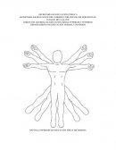 DESARROLLO CORPORAL Y MOTRICIDAD I.