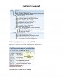Easy cost planning SAP PS