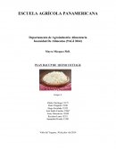 Desarrollo de plan HACCP de queso cottague