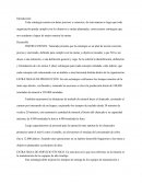 Elaboracion de estrategias