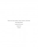 Relación entre empresa mandante y contratistas subcontratistas