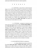 CAPITULO DE PRUEBAS EN UN JUICIO DE RECTIFICACIÓN DE DEFUNCIÓN