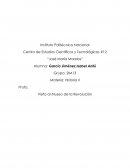 INSTITUTO POLITECNICO NACIONAL