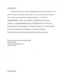 Modelo poder simple. Página 1