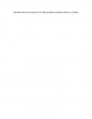 Indentificacion de elementos de la tabla periodica mediante el analisis de llama