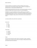 Sistema respiratorio - Resumen