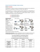 Temas de Psicología para iniciantes