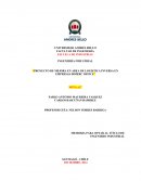 Memoria Logistica Inversa