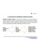 DEFINICION DE MEMBRESIA SINERGIA INTEGRA