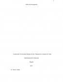 Investigacion