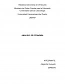 Analisis de economia