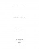 INTEGRALES EN LA INGENIERIA CIVIL