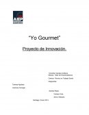 Proyecto de Innovación. Yo Gourmet SL