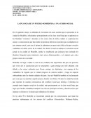 No nacimos para semilla