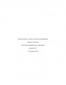 Desarrollo de habilidadres