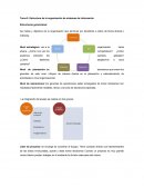 Estructura de la organización de sistemas de información