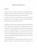 PROPUESTA DE PROYECTO Fundación