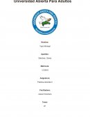 Actividad práctica #1 Práctica docente II