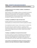 CONCEPTOS SOCIOLOGICOS BASICOS