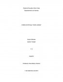 Analisis Ensayo "Alerta Ustedes"