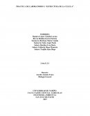 Práctica de laboratorio