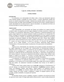 Antracnosis y tizones