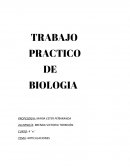 TRABAJO PRACTICO DE BIOLOGIA. ARTICULACIONES
