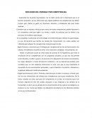 REFLEXION DE LAS COMPETENCIAS