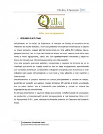 Trabajo final. Página 1