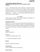 Dictamen de lesiones