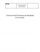 Transición Del Fenómeno de Natalidad en el mundo