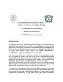 Preparaciones temporales