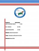 Demanda en verificacion de escritura