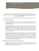 Diseño y desarrollo de una empresa