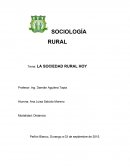 La sociedad rural hoy