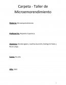Microempresas
