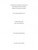 Tópicos Especiales en la AP I