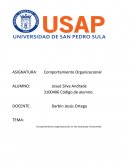 Comportamiento organizacional