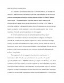 DIAGNOSTICO DE LA CADENA DE ABASTECIMIENTO DE COPAIN CABANA