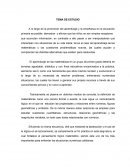 Tema De Estudio De la Enseñanza De Las Matemáticas En Un Grupo De Primer Grado