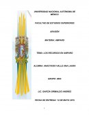 LOS RECURSOS EN AMPARO