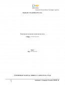 TC Automatas TRABAJO COLABORATIVO No1.