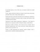 Organigrama empresa “SABRITAS”