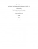 DEFINICIÓN Y FUNCIONES DE LOS SISTEMAS ELECTORALES