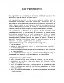 Las organizaciones