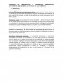 PROCESOS DE URBANIZACIÓN Y CRECIMIENTO DEMOGRÁFICO ACELERADOS, QUE GENERAN ALTO GRADO DE HACINAMIENTO