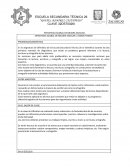 Cte estrategia global de mejora escolar