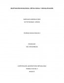 Objetivacion sociologica